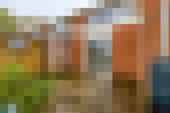 Julianastraat 23 Groningen thumbnail 25