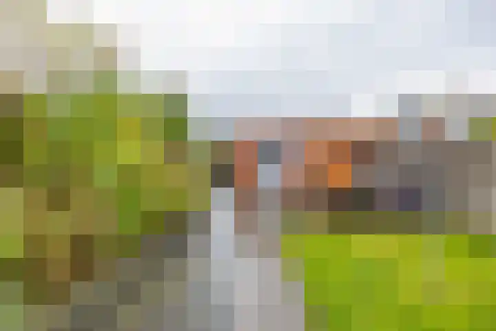 Julianastraat 23 Groningen thumbnail 4