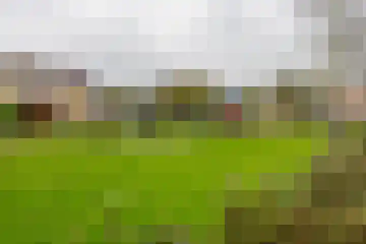 Julianastraat 23 Groningen thumbnail 45