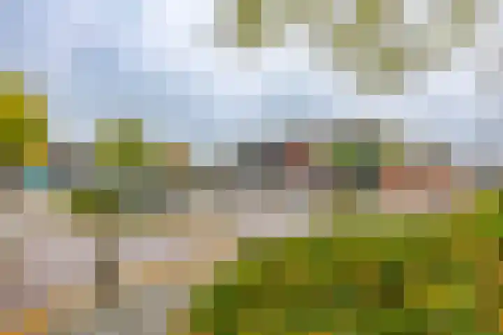 Julianastraat 23 Groningen thumbnail 46