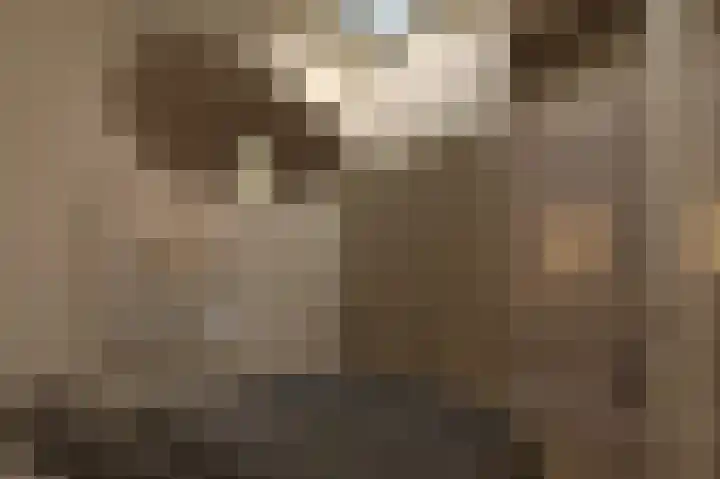 Julianastraat 23 Harskamp thumbnail 6