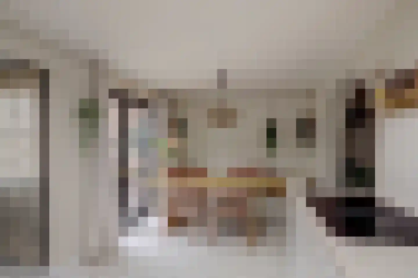 Julianastraat 23 Leerdam thumbnail 11