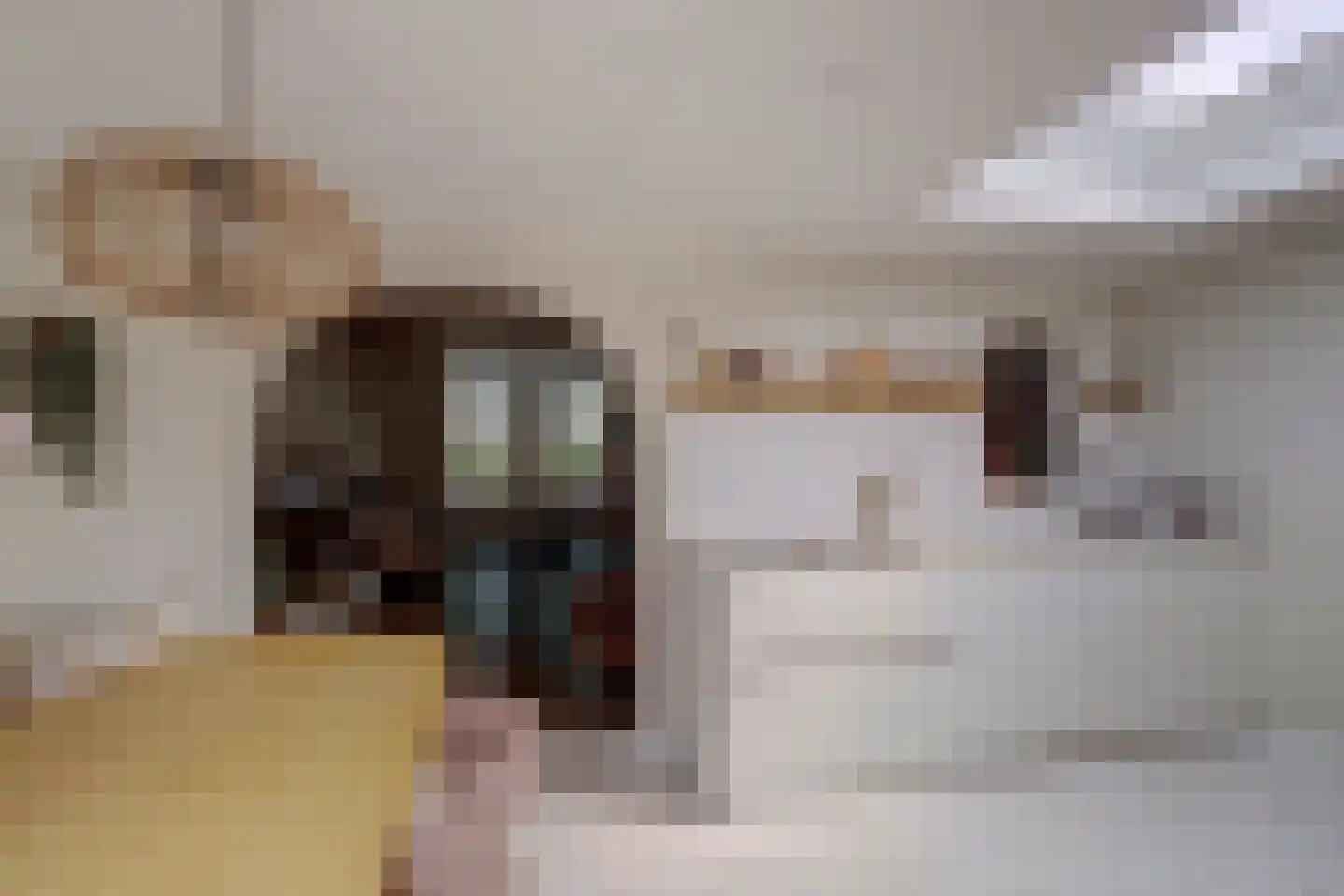 Julianastraat 23 Leerdam thumbnail 12