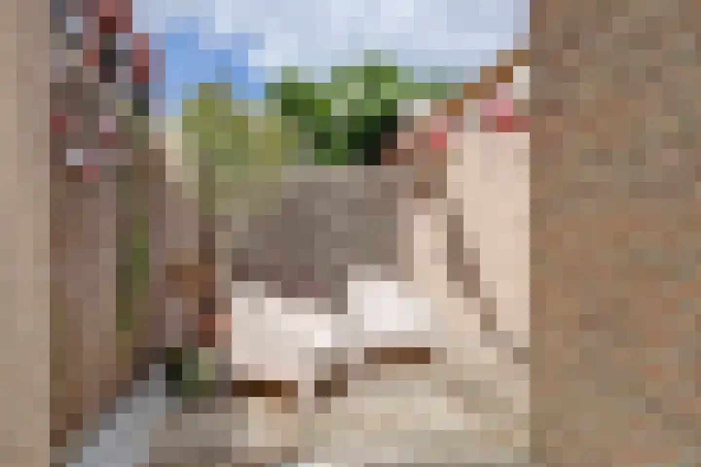 Julianastraat 23 Leerdam thumbnail 17