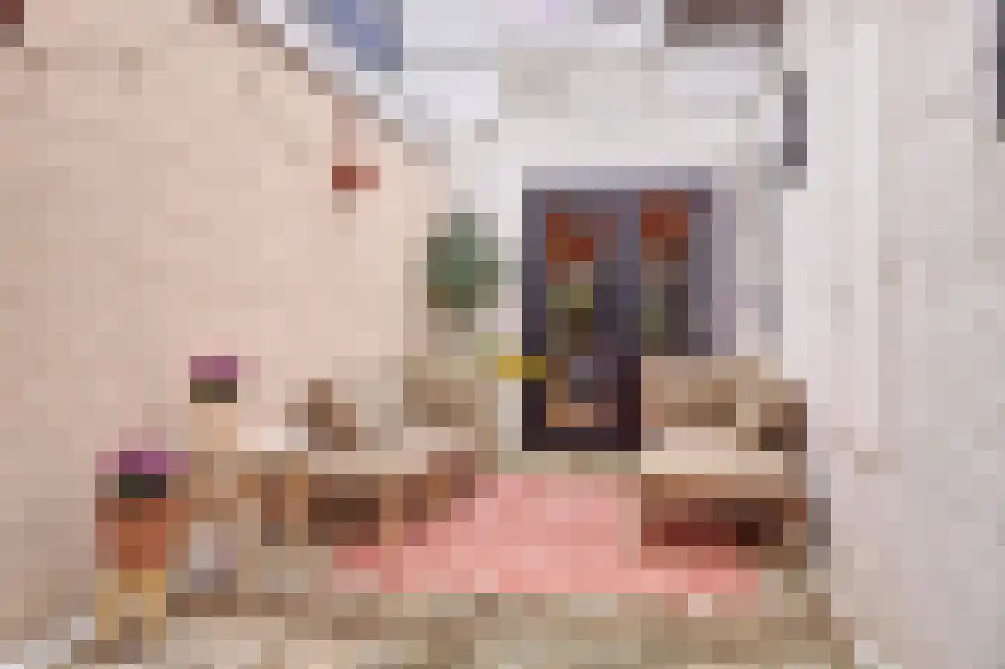 Julianastraat 23 Leerdam thumbnail 18