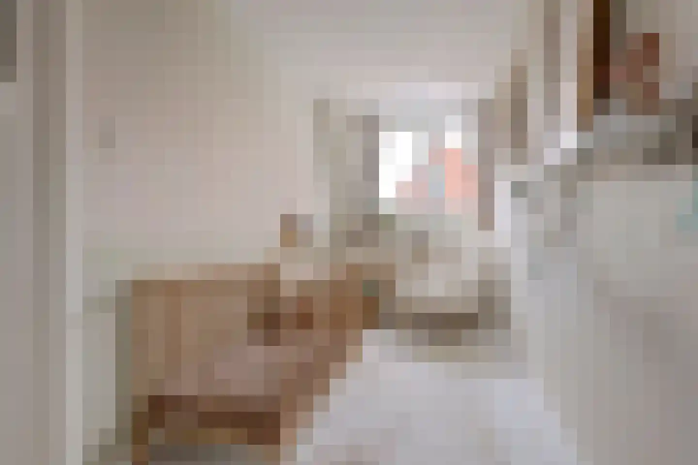 Julianastraat 23 Leerdam thumbnail 26