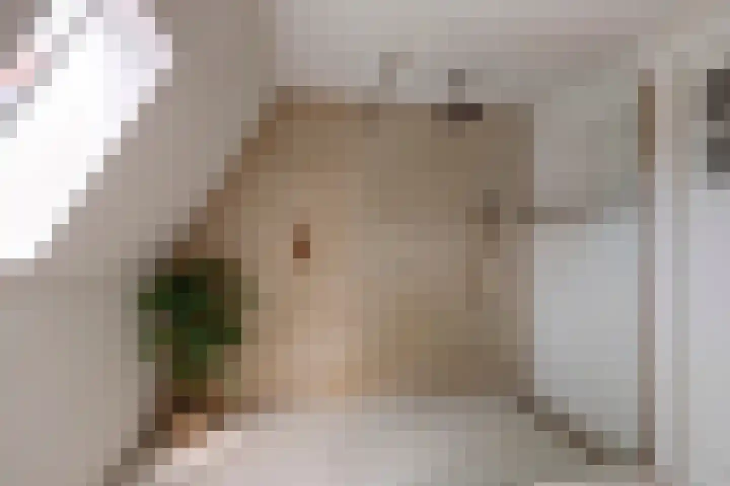 Julianastraat 23 Leerdam thumbnail 30