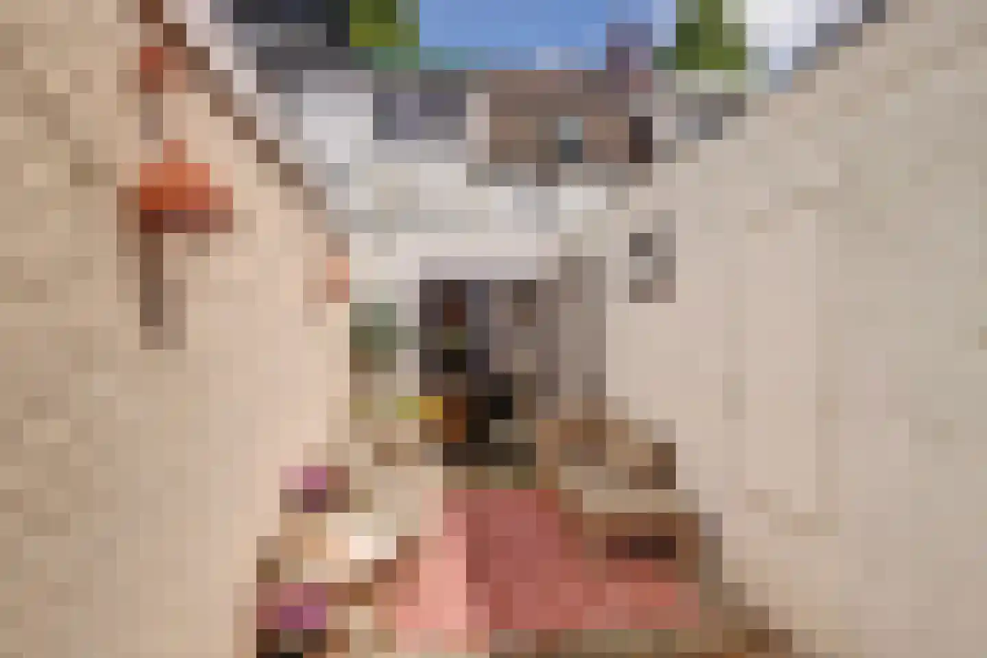 Julianastraat 23 Leerdam thumbnail 5