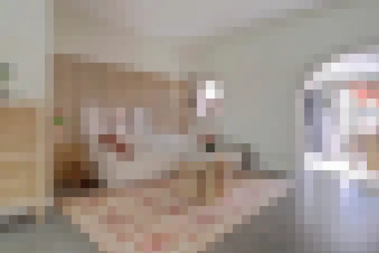 Julianastraat 23 Leerdam thumbnail 8