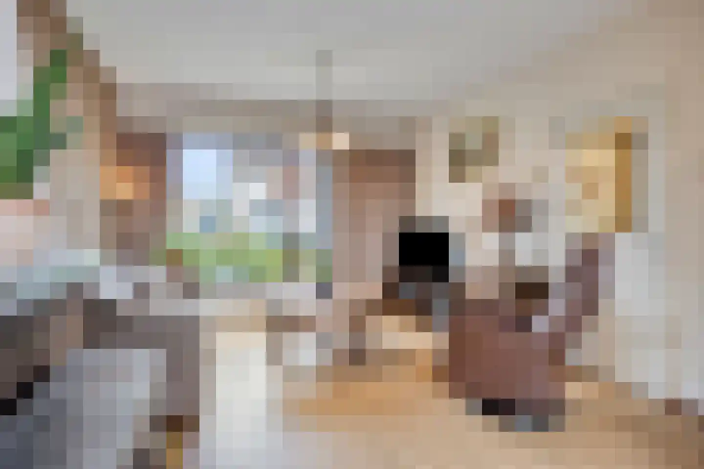 Julianastraat 23 Montfort thumbnail 13