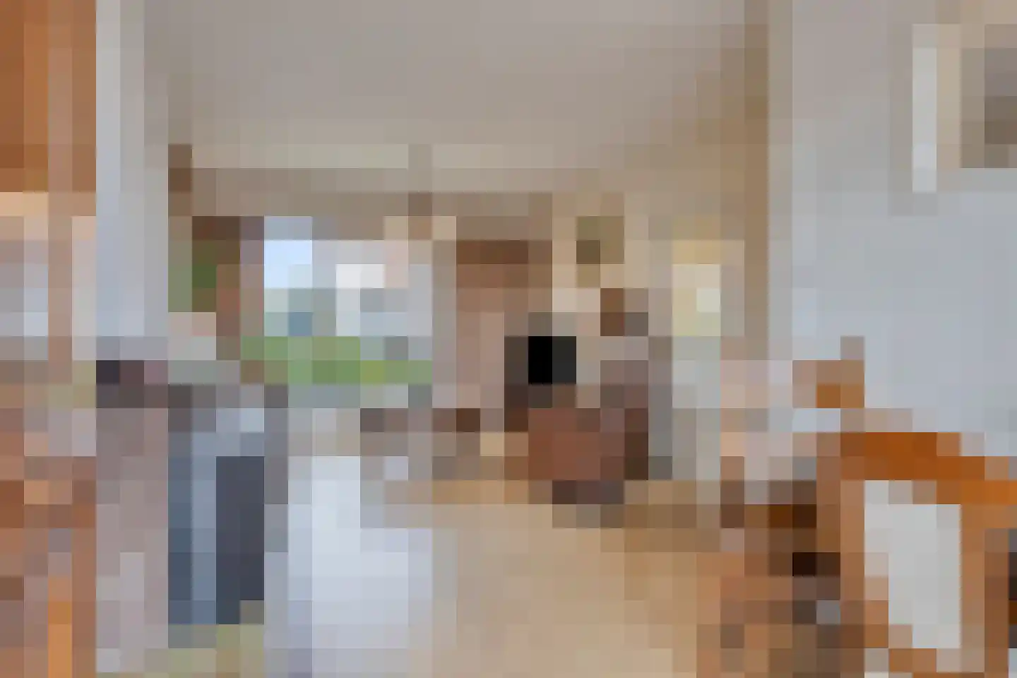 Julianastraat 23 Montfort thumbnail 17