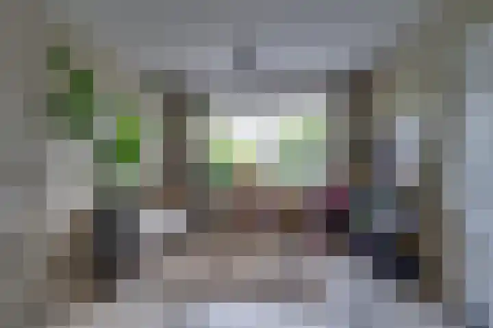 Julianastraat 23 Rhoon thumbnail 16