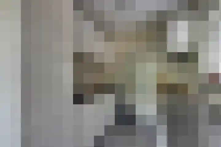 Julianastraat 23 Rhoon thumbnail 18