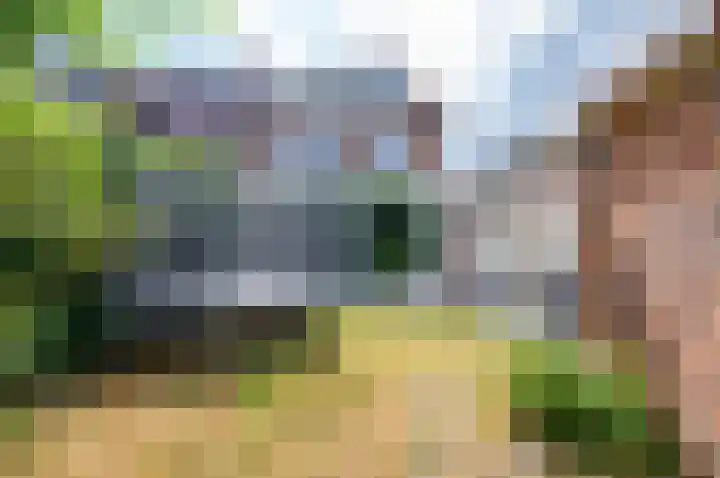Julianastraat 23 Rhoon thumbnail 22
