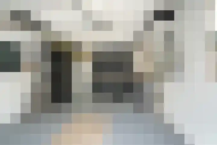 Julianastraat 23 Schijndel thumbnail 34