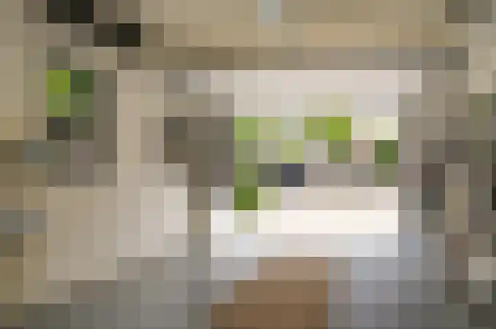 Julianastraat 23 Schijndel thumbnail 35