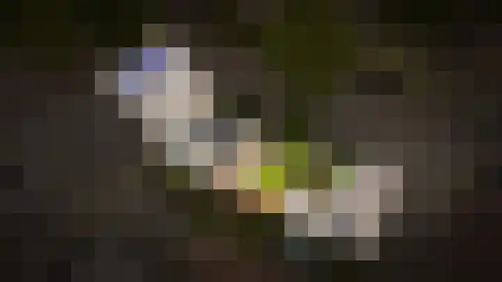 Julianastraat 23 Schijndel thumbnail 41