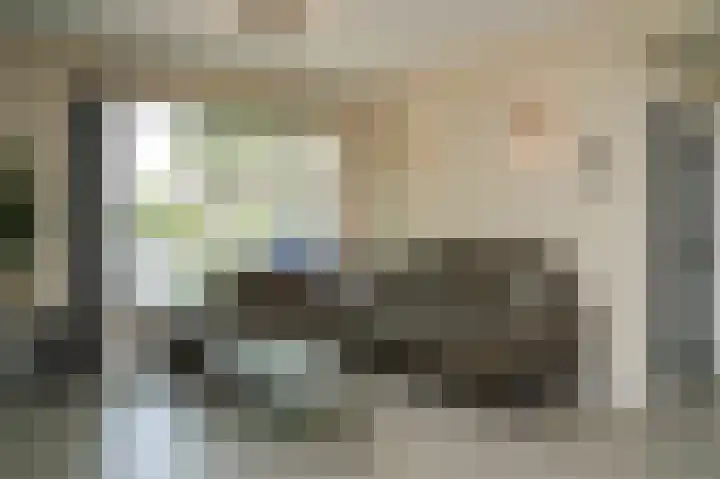 Julianastraat 23 Schijndel thumbnail 6
