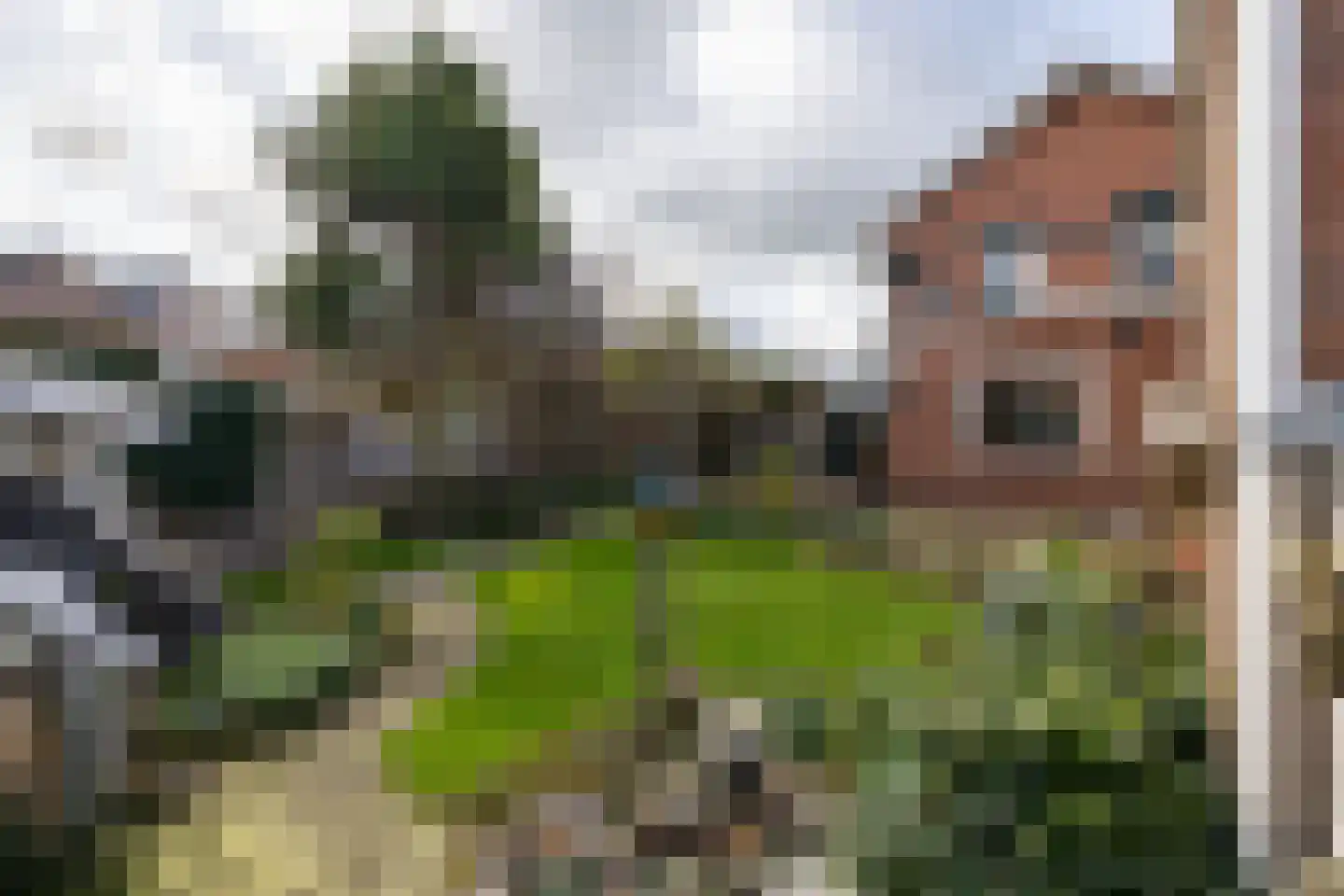 Julianastraat 23 Wehl thumbnail 20