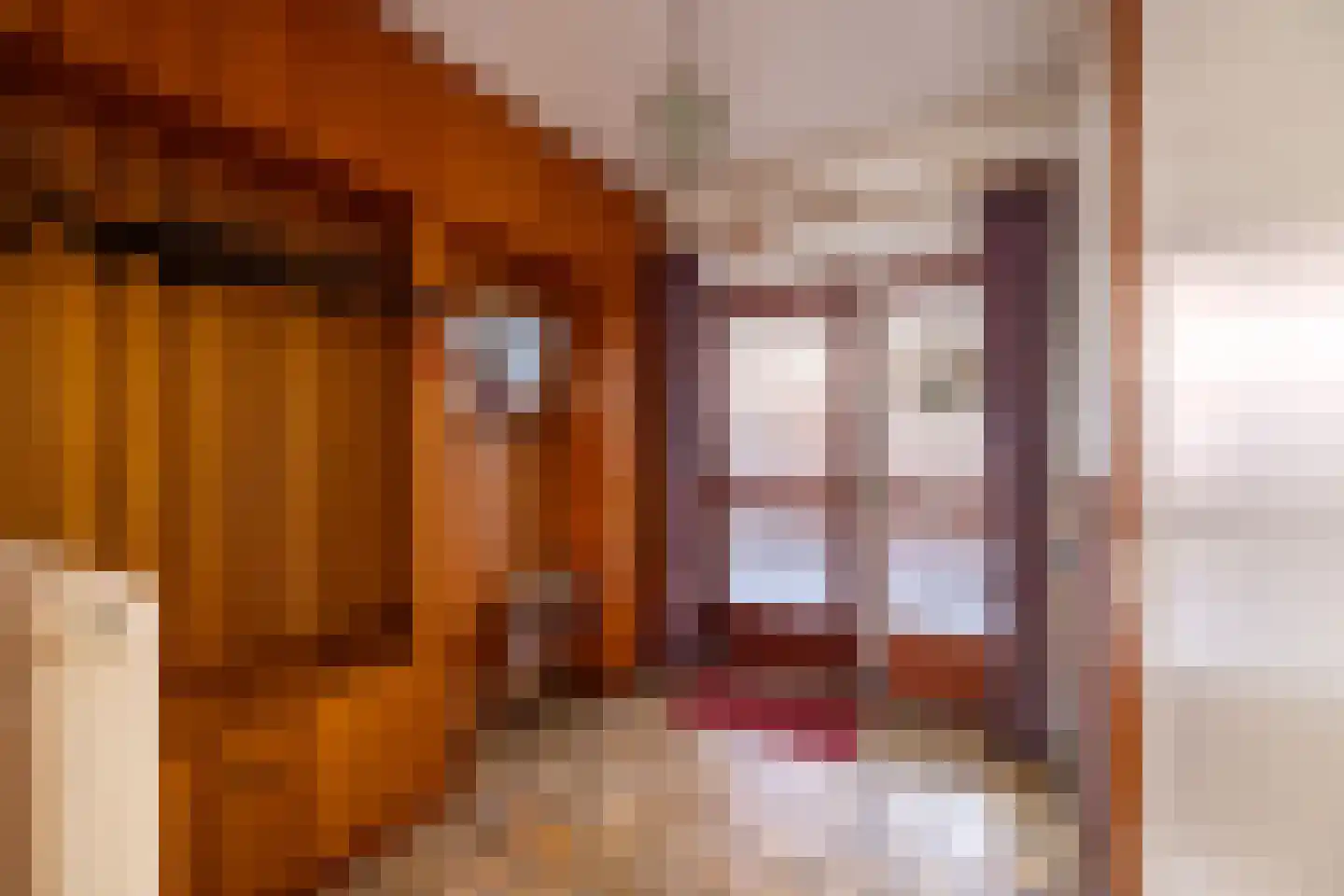 Julianastraat 23 Wehl thumbnail 28