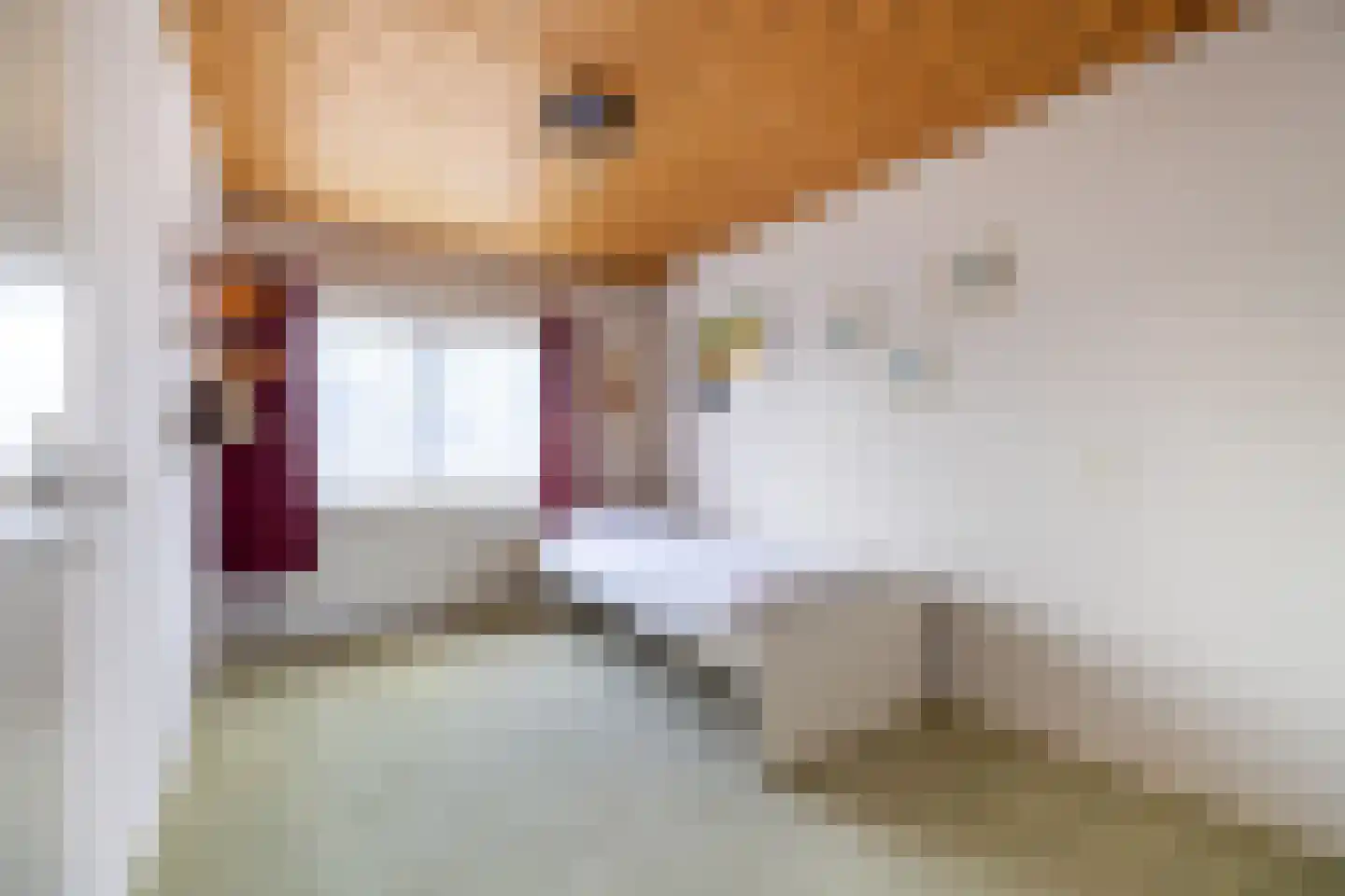 Julianastraat 23 Wehl thumbnail 34