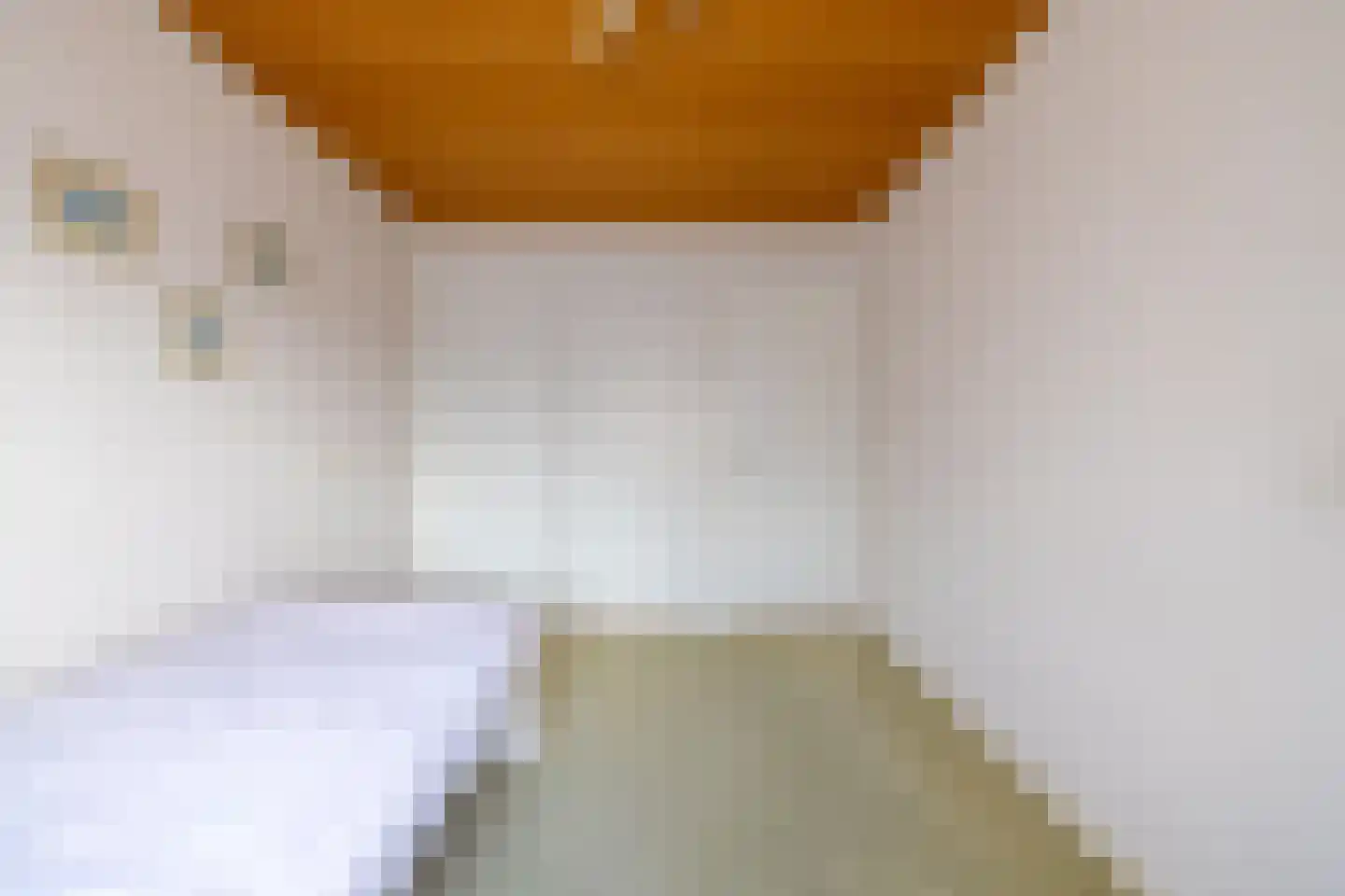 Julianastraat 23 Wehl thumbnail 36