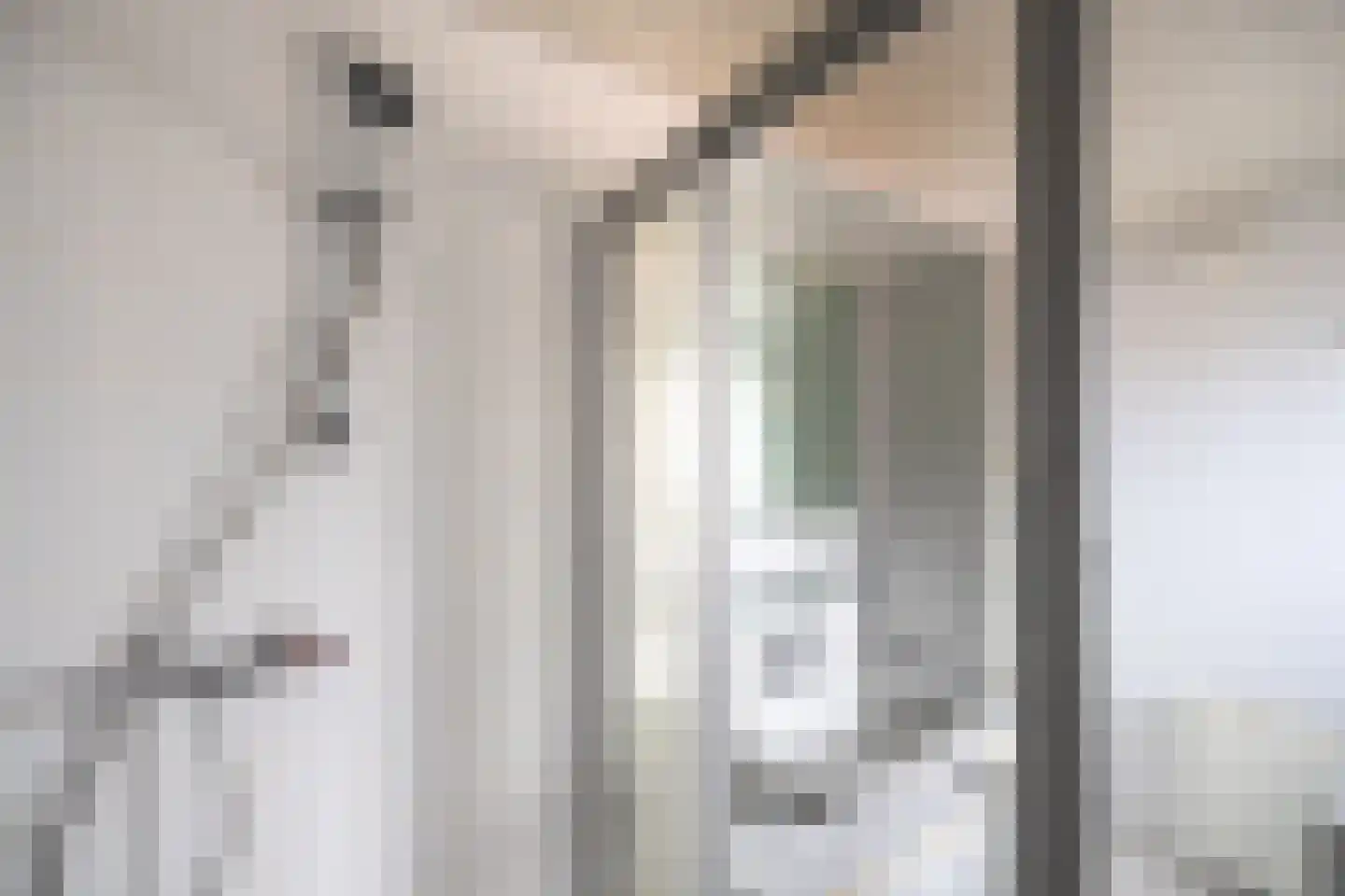 Julianastraat 23 Wehl thumbnail 49