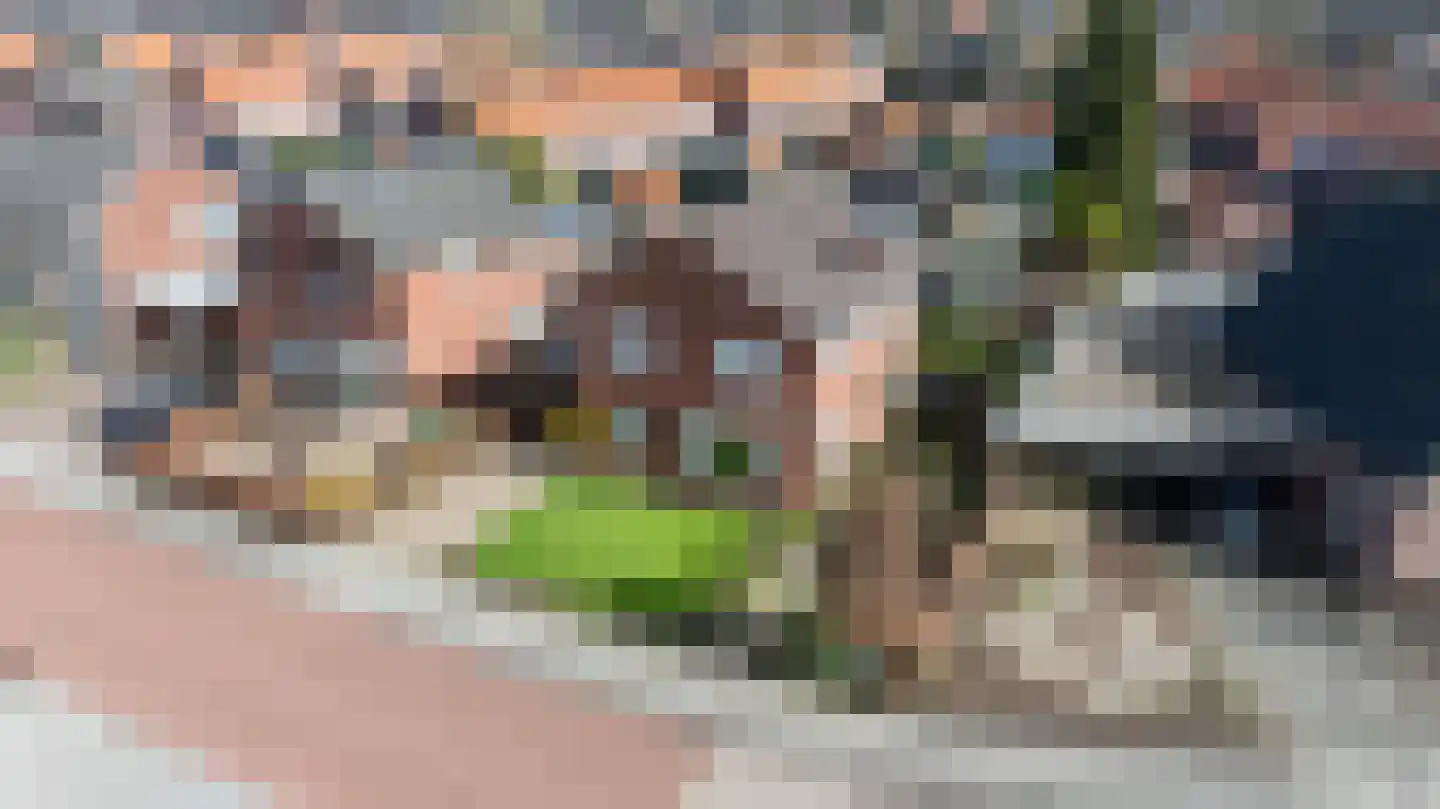 Julianastraat 23 Wehl thumbnail 52