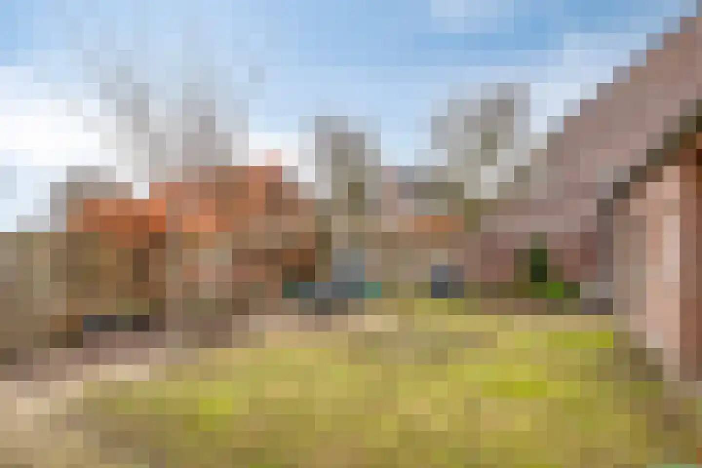 Julianastraat 24 in Vogelwaarde