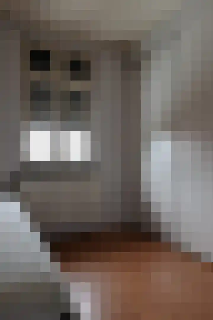 Julianastraat 24 Bocholtz thumbnail 14