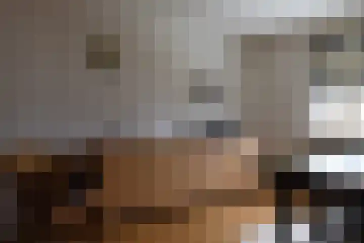 Julianastraat 24 Bocholtz thumbnail 15