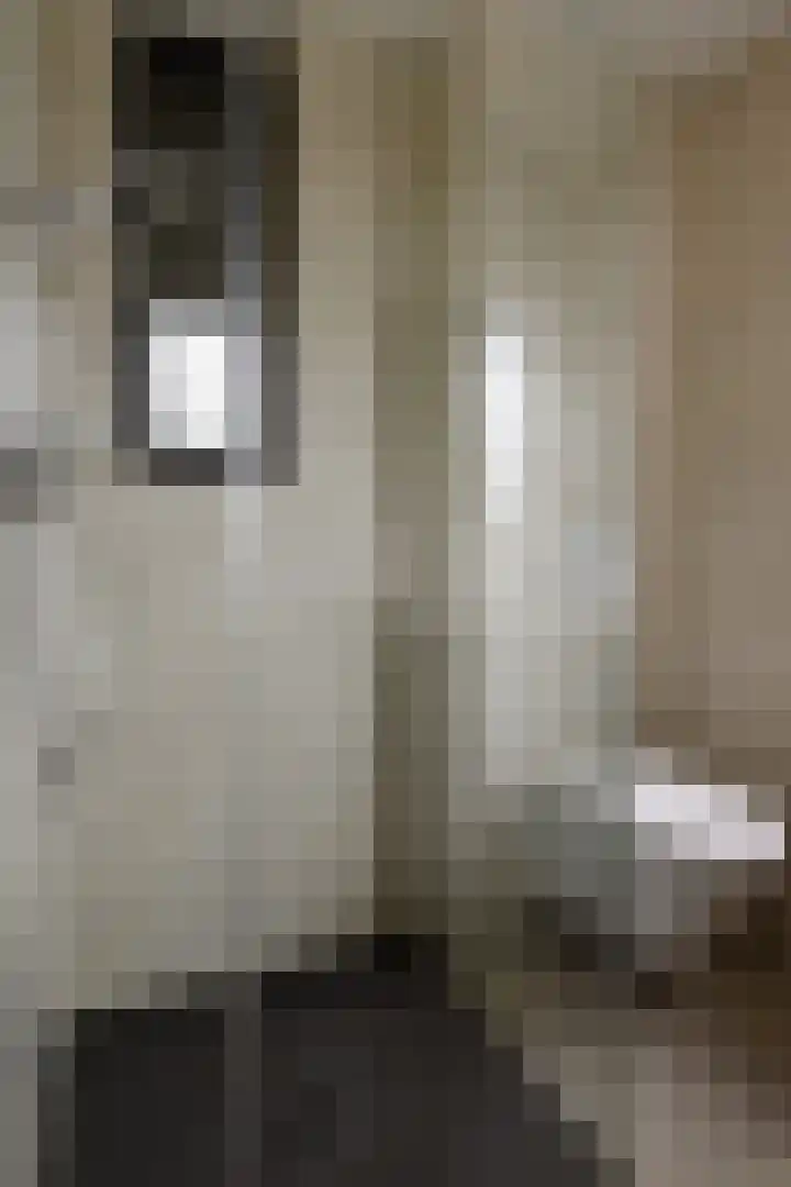 Julianastraat 24 Bocholtz thumbnail 17