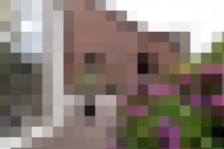 Julianastraat 24 Bocholtz thumbnail 21