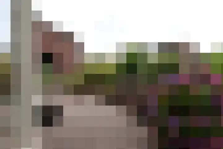 Julianastraat 24 Bocholtz thumbnail 22