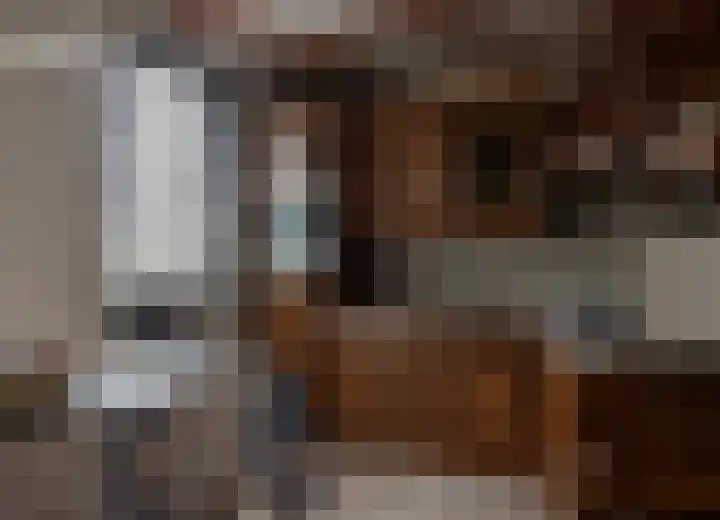 Julianastraat 24 Bocholtz thumbnail 9