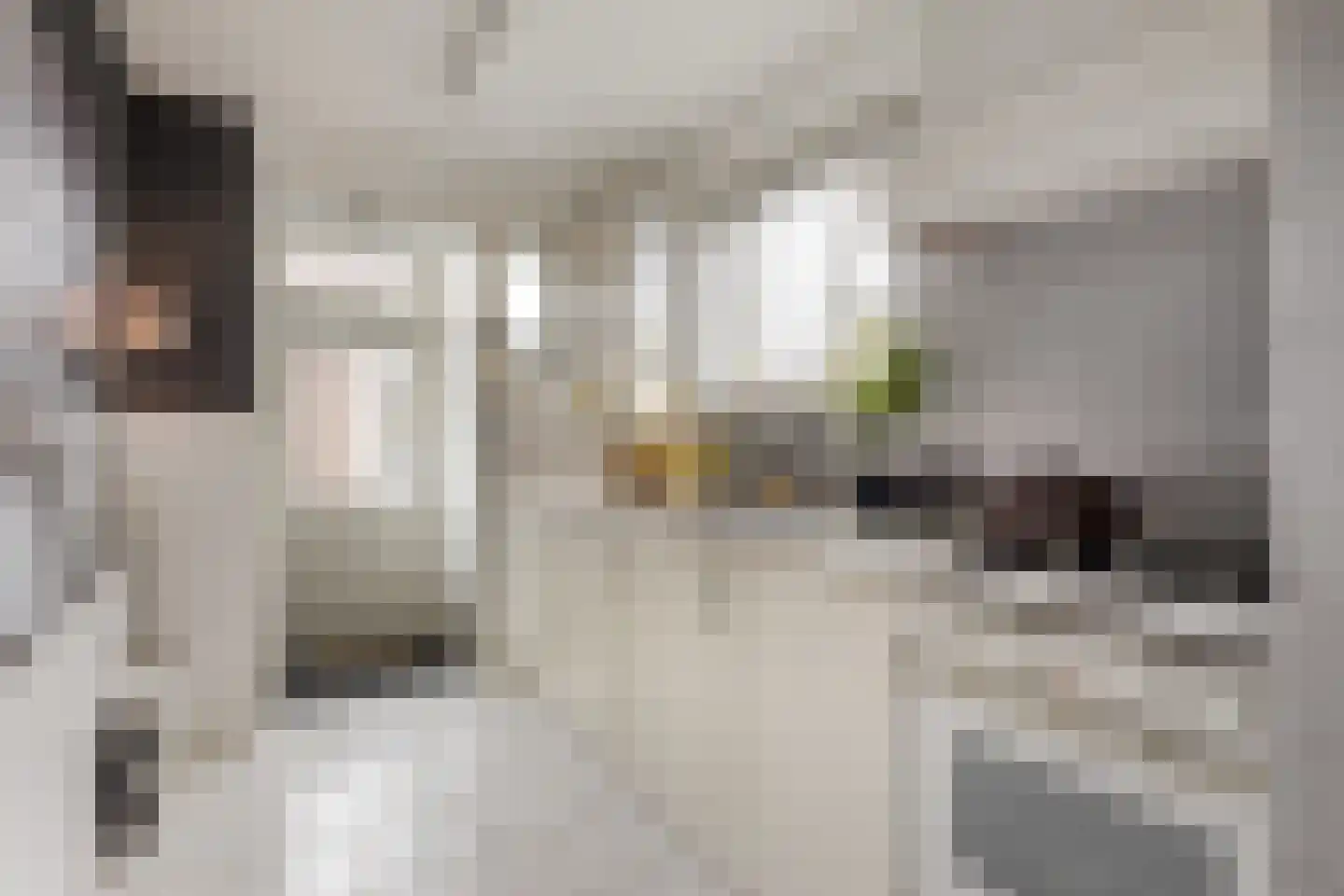 Julianastraat 24 Halfweg thumbnail 15
