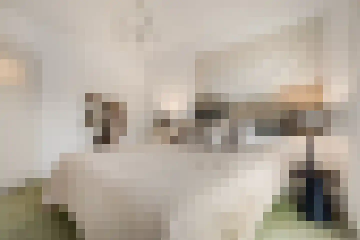 Julianastraat 24 Halfweg thumbnail 17