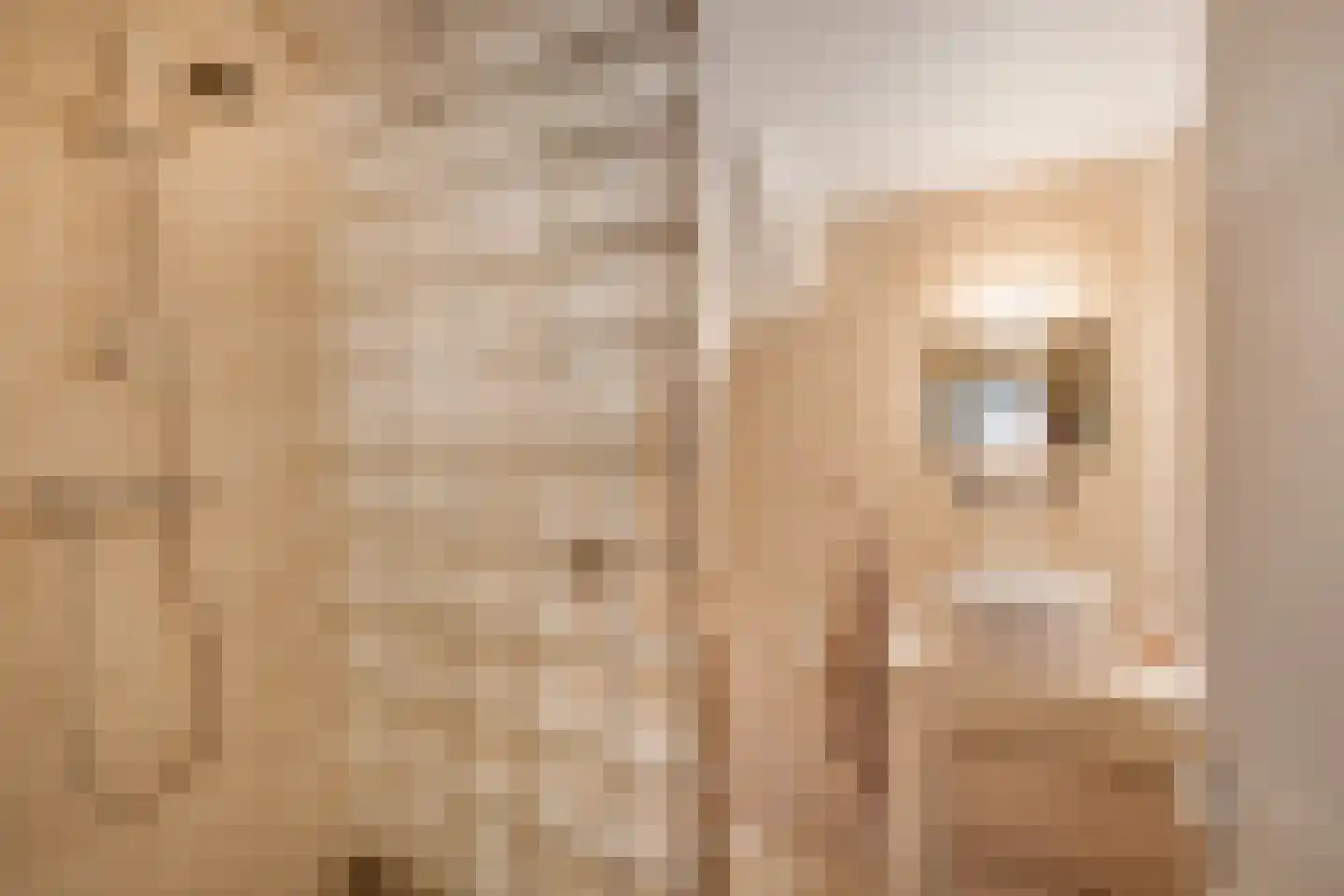 Julianastraat 24 Halfweg thumbnail 20