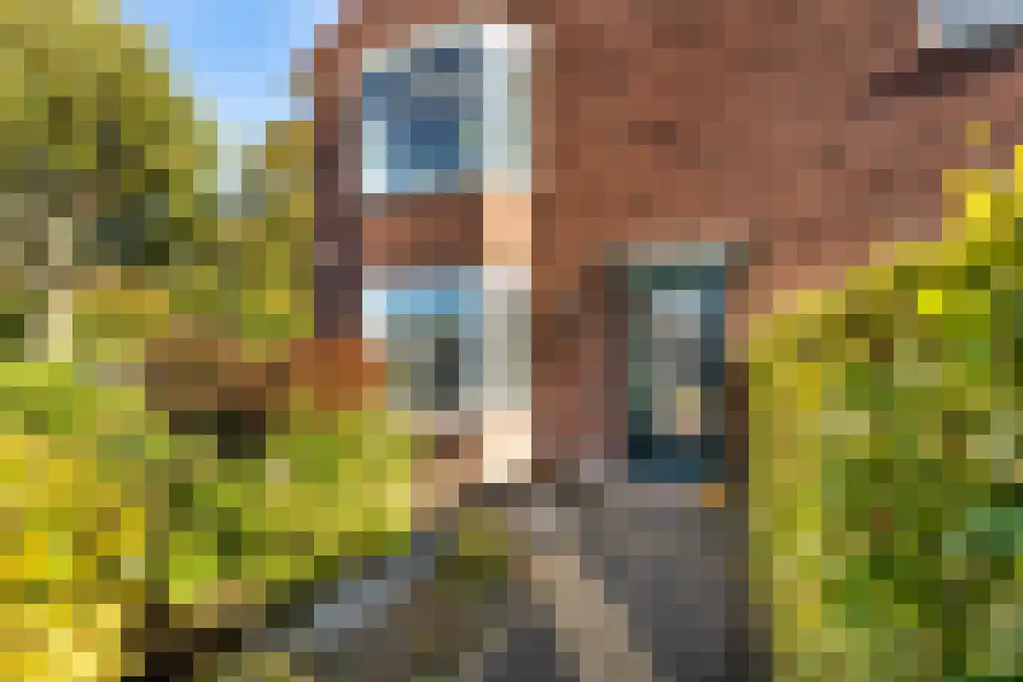 Julianastraat 24 Halfweg thumbnail 6