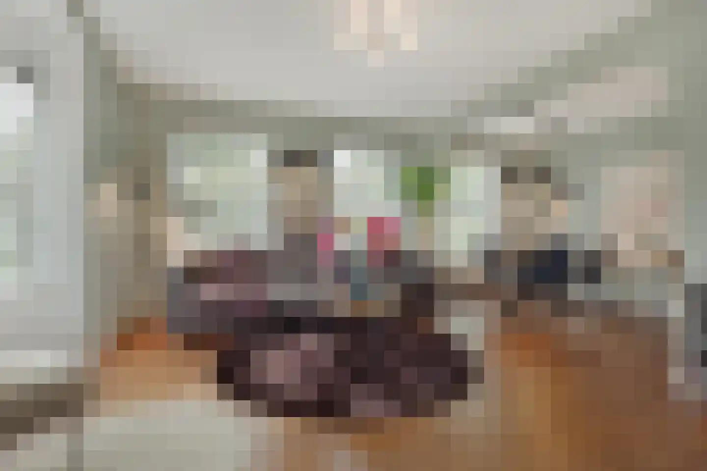 Julianastraat 24 Halfweg thumbnail 8
