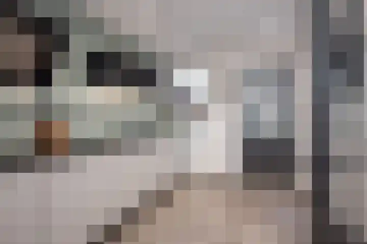 Julianastraat 24 Hoogkarspel thumbnail 12