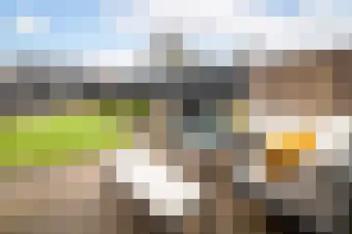 Julianastraat 24 Hoogkarspel thumbnail 28