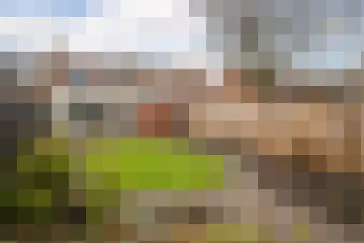 Julianastraat 24 Hoogkarspel thumbnail 31