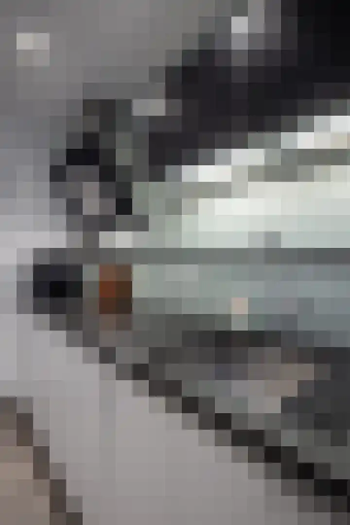 Julianastraat 24 Hoogkarspel thumbnail 43