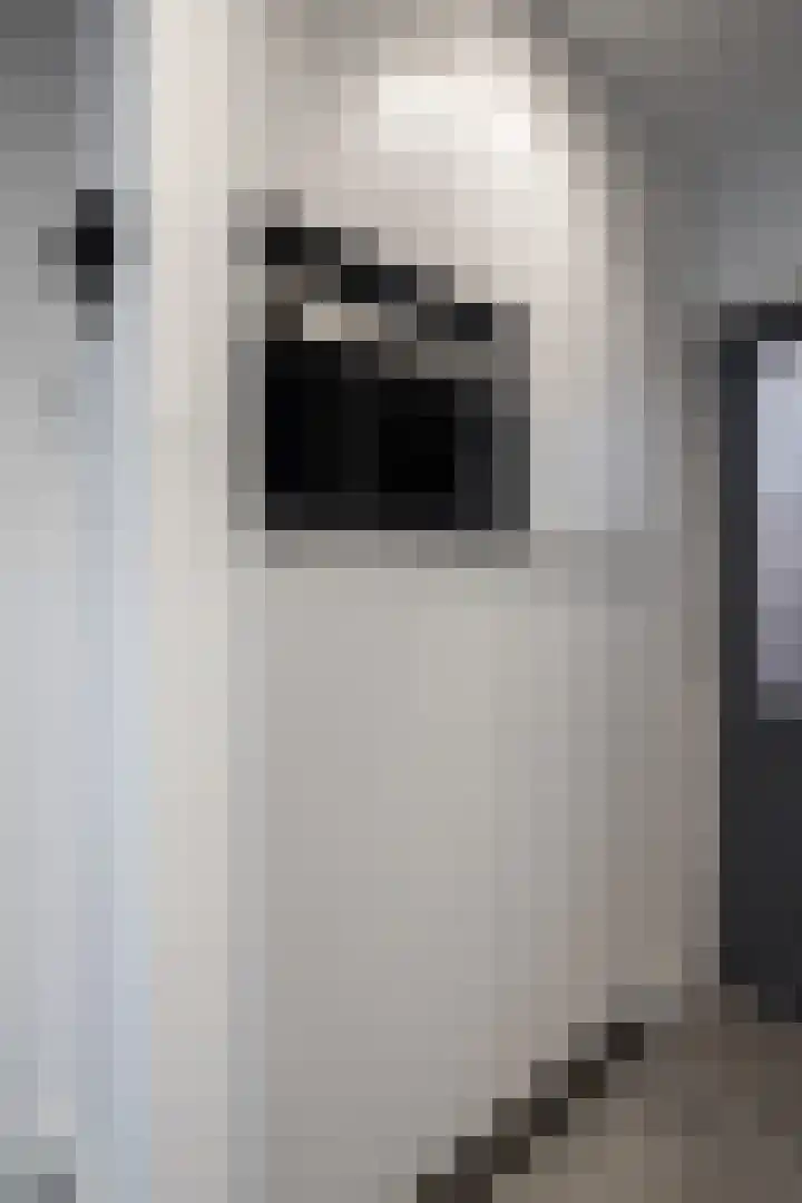 Julianastraat 24 Hoogkarspel thumbnail 44