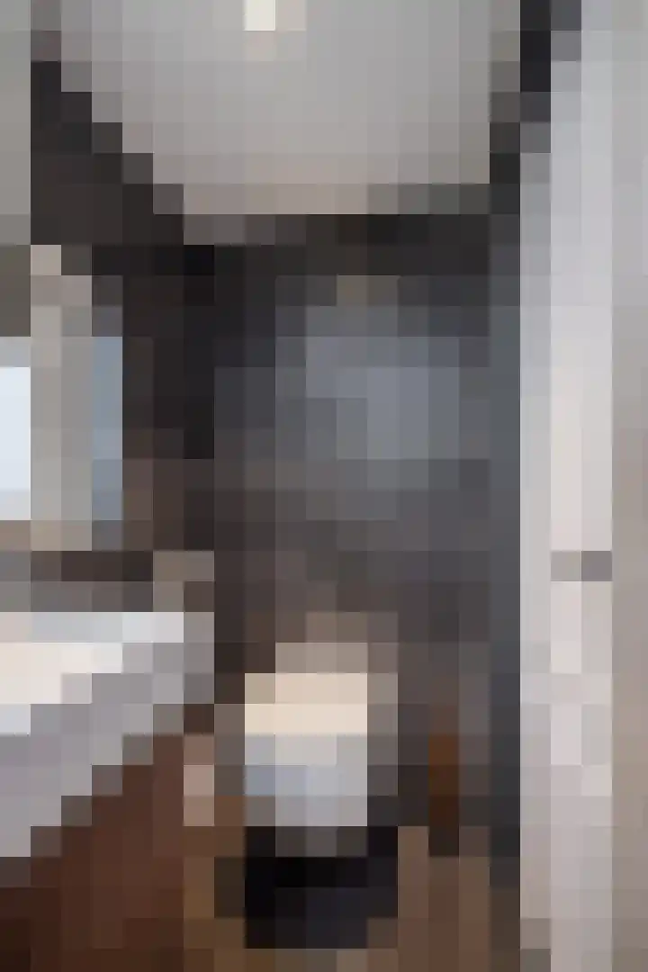 Julianastraat 24 Hoogkarspel thumbnail 45