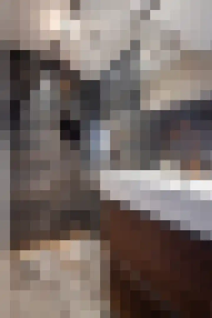Julianastraat 24 Hoogkarspel thumbnail 46