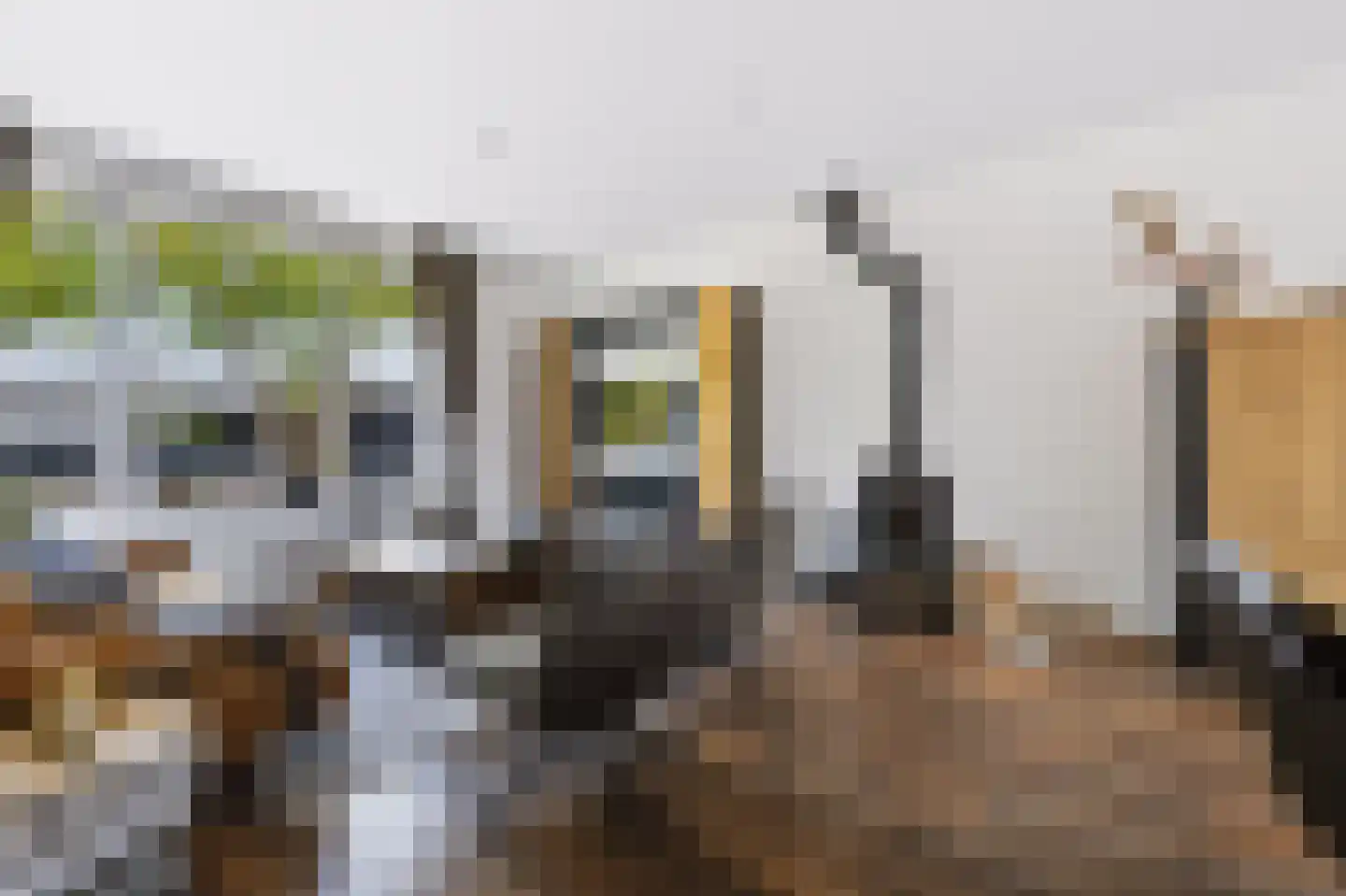 Julianastraat 24 Rhoon thumbnail 11