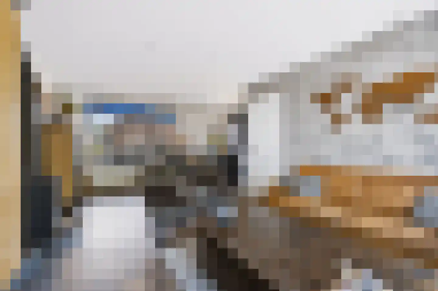 Julianastraat 24 Rhoon thumbnail 13