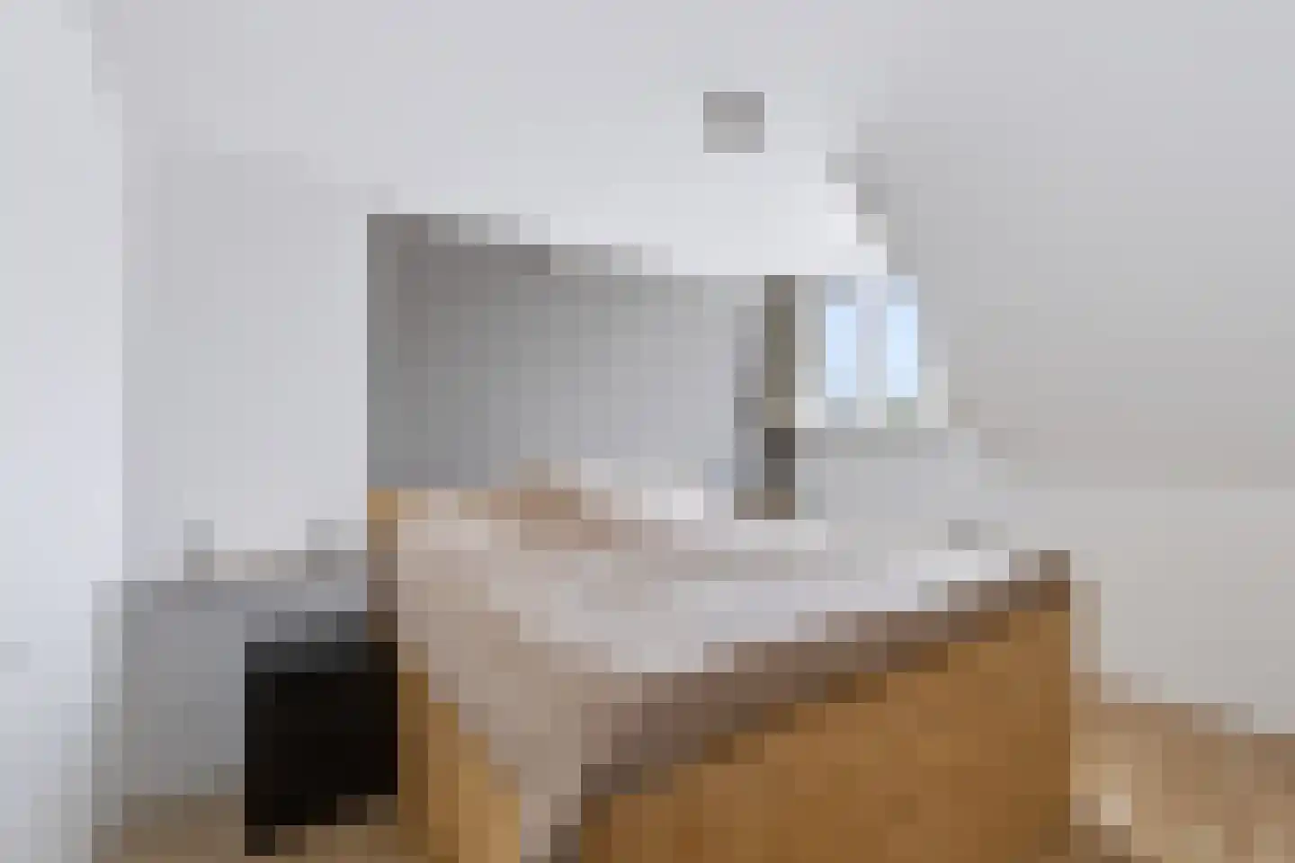 Julianastraat 24 Rhoon thumbnail 24